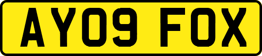 AY09FOX