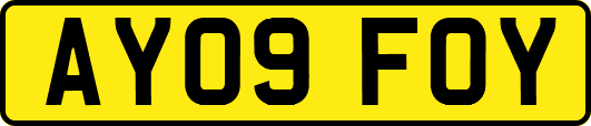 AY09FOY