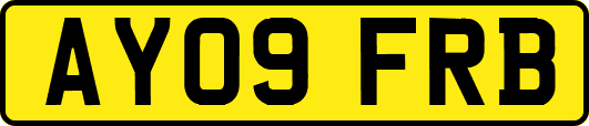 AY09FRB