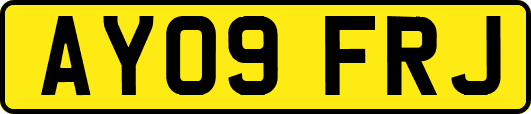 AY09FRJ
