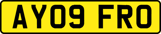 AY09FRO