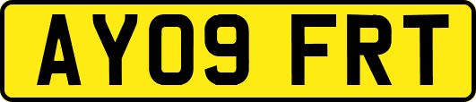 AY09FRT