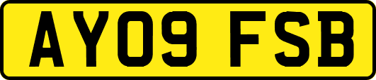 AY09FSB