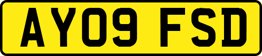 AY09FSD