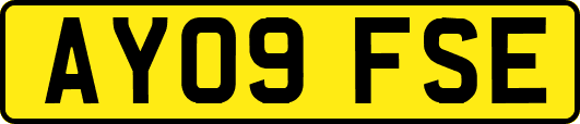 AY09FSE