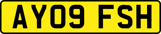 AY09FSH