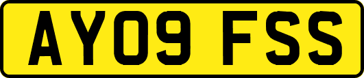 AY09FSS