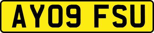 AY09FSU