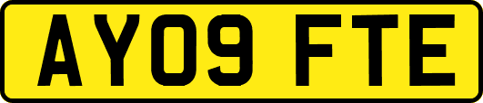 AY09FTE