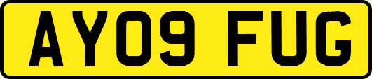 AY09FUG