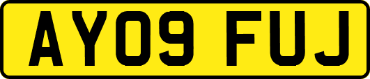 AY09FUJ