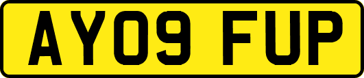 AY09FUP