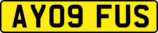 AY09FUS