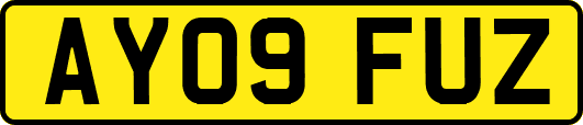 AY09FUZ