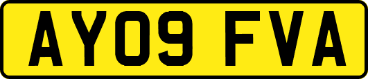 AY09FVA