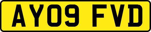 AY09FVD