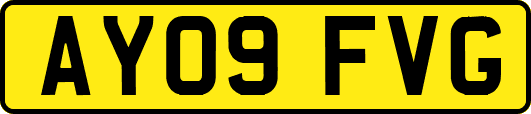 AY09FVG