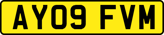 AY09FVM