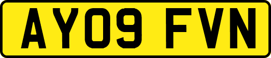 AY09FVN