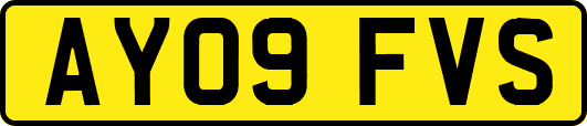 AY09FVS