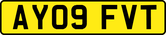 AY09FVT