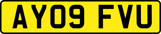 AY09FVU