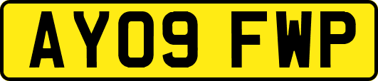 AY09FWP