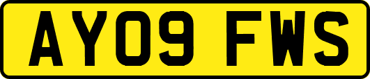 AY09FWS