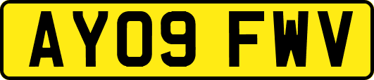 AY09FWV