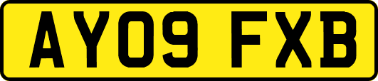 AY09FXB