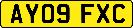 AY09FXC