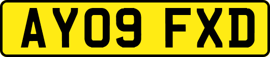 AY09FXD