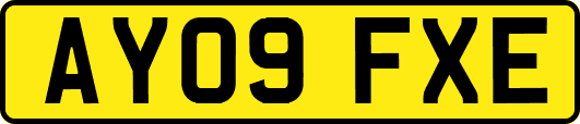 AY09FXE