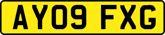 AY09FXG