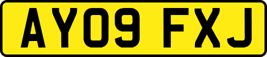 AY09FXJ