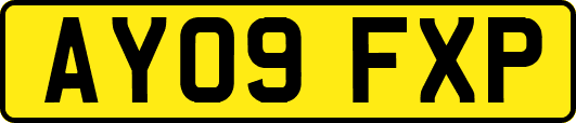 AY09FXP