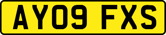 AY09FXS
