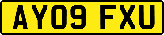 AY09FXU
