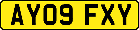 AY09FXY