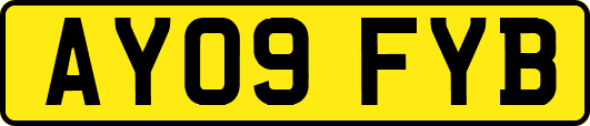 AY09FYB
