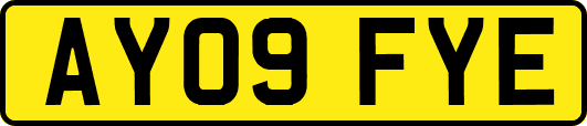 AY09FYE