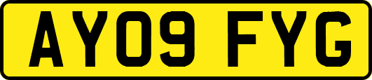 AY09FYG