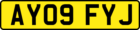 AY09FYJ