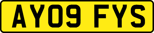 AY09FYS