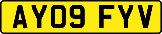 AY09FYV