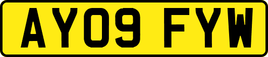 AY09FYW