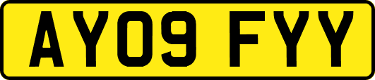 AY09FYY