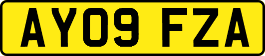 AY09FZA