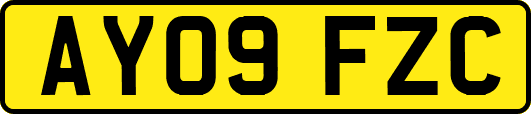 AY09FZC