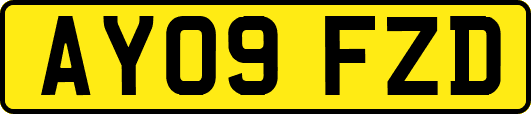 AY09FZD